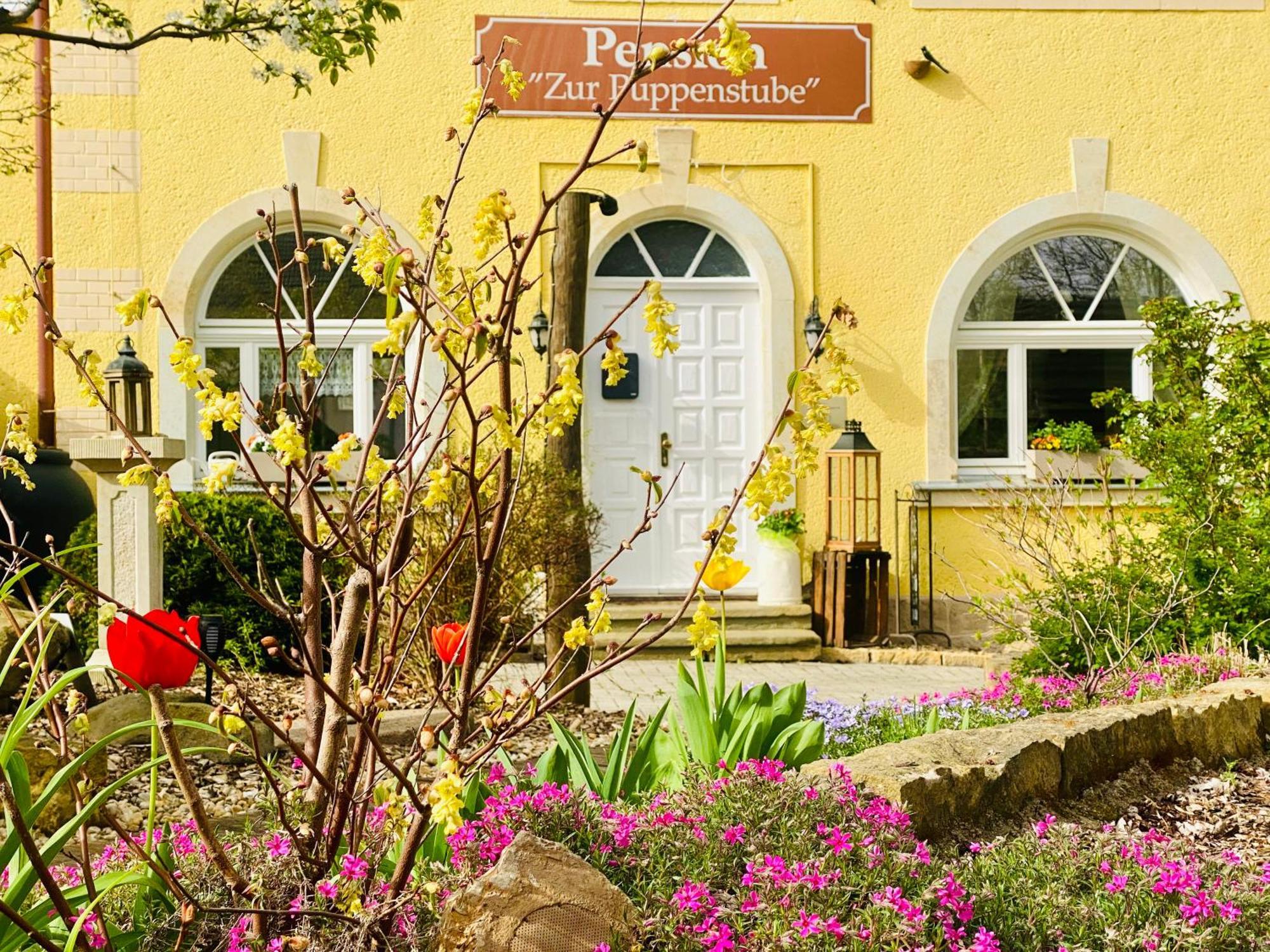 Restaurant Und Pension Zur Puppenstube シュトルペン エクステリア 写真